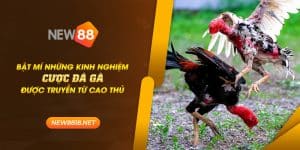 new88